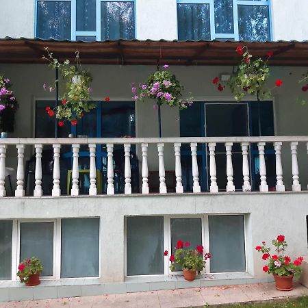 Hotel Casa Albastra à Drumu Carului Extérieur photo