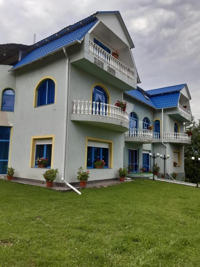 Hotel Casa Albastra à Drumu Carului Extérieur photo