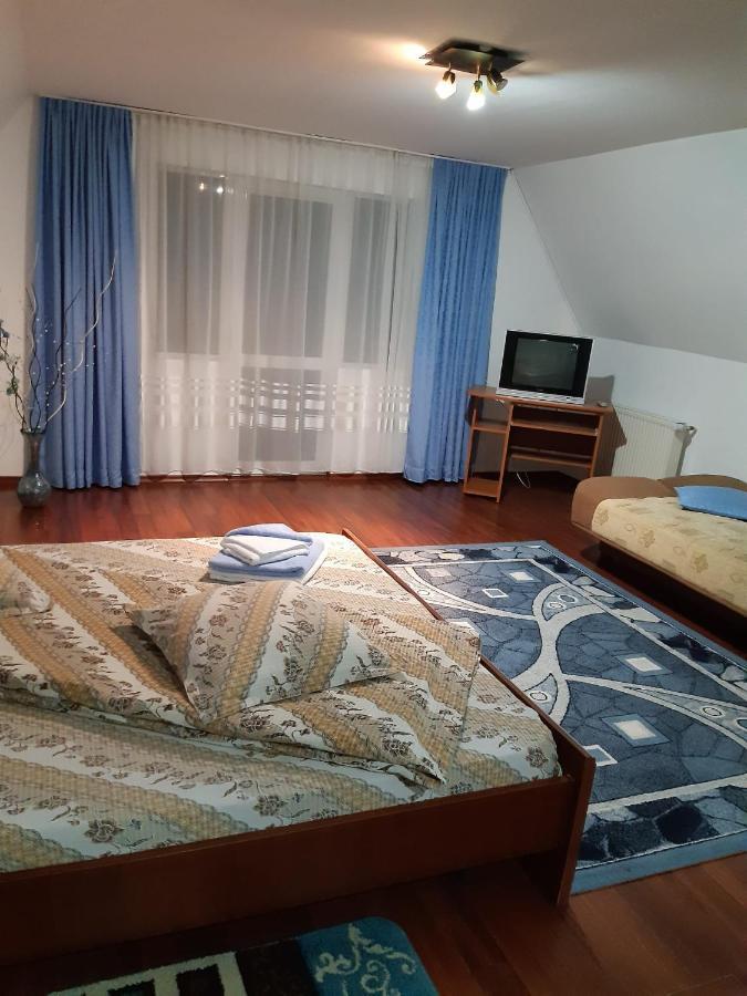 Hotel Casa Albastra à Drumu Carului Extérieur photo