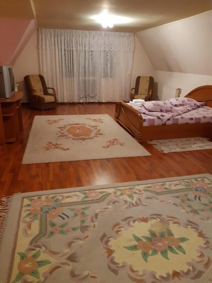 Hotel Casa Albastra à Drumu Carului Extérieur photo