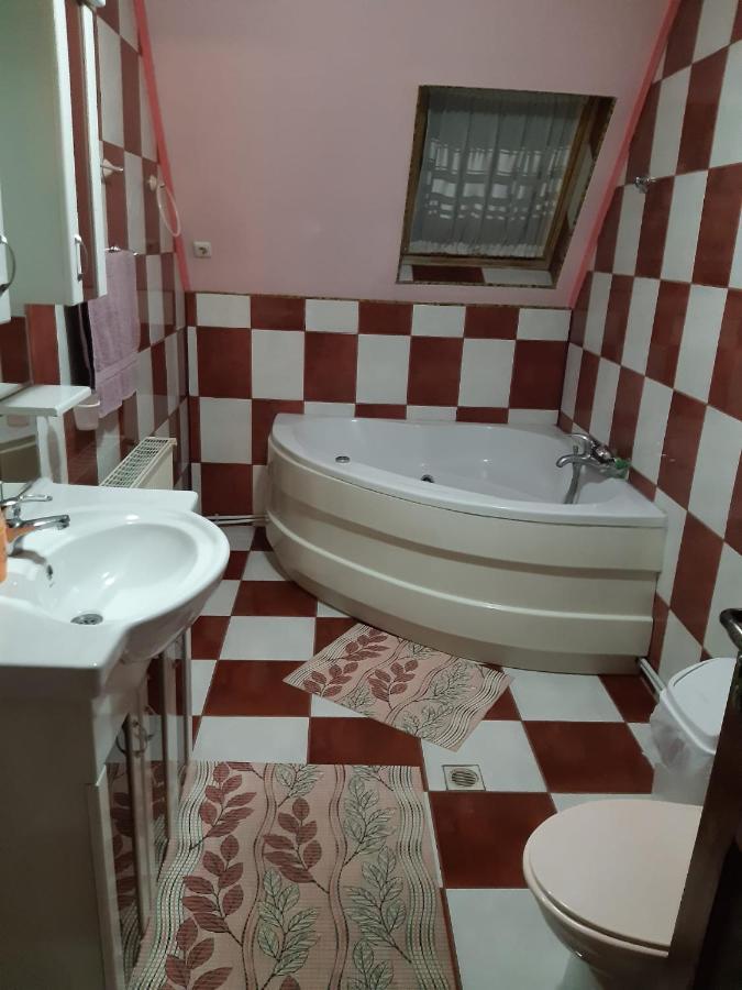 Hotel Casa Albastra à Drumu Carului Extérieur photo